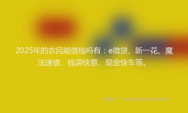 2025年的农民能借钱吗有：e微贷、新一花、魔法速借、钱袋快易、现金快车等。