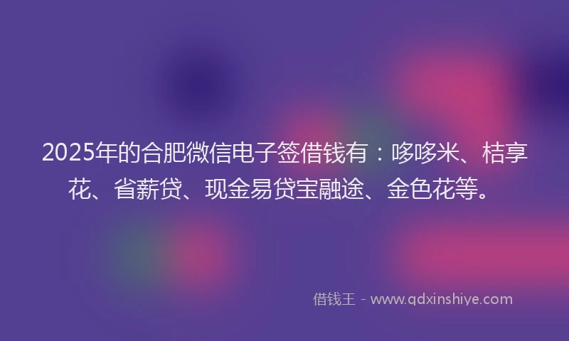 2025年的合肥微信电子签借钱有：哆哆米、桔享花、省薪贷、现金易贷宝融途、金色花等。
