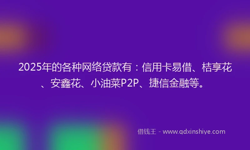 2025年的各种网络贷款有：信用卡易借、桔享花、安鑫花、小油菜P2P、捷信金融等。