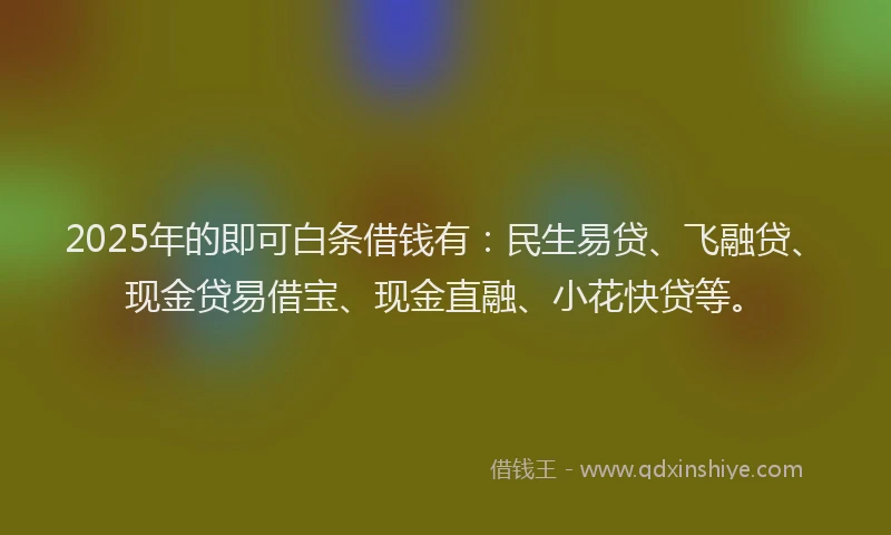 2025年的即可白条借钱有：民生易贷、飞融贷、现金贷易借宝、现金直融、小花快贷等。