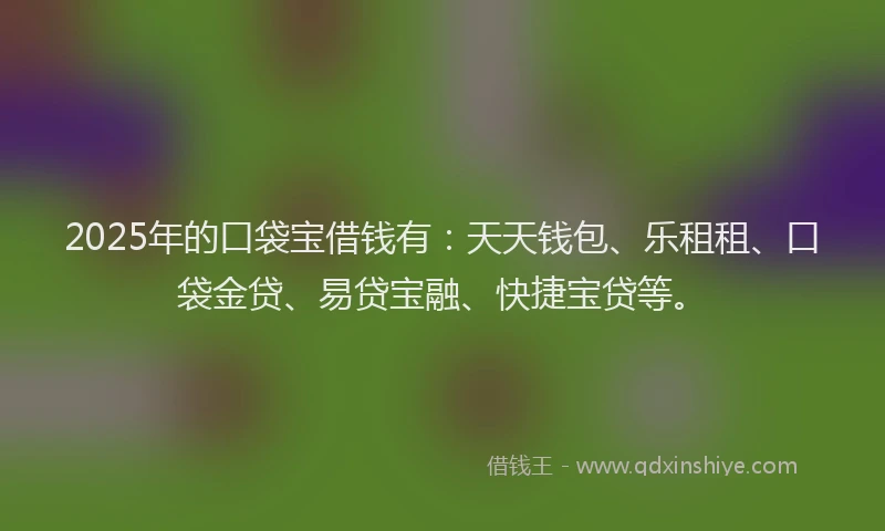 2025年的口袋宝借钱有：天天钱包、乐租租、口袋金贷、易贷宝融、快捷宝贷等。