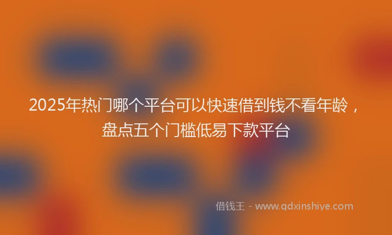 2025年热门哪个平台可以快速借到钱不看年龄，盘点五个门槛低易下款平台