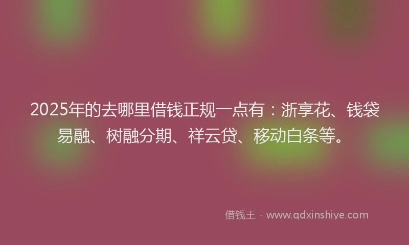 2025年的去哪里借钱正规一点有：浙享花、钱袋易融、树融分期、祥云贷、移动白条等。