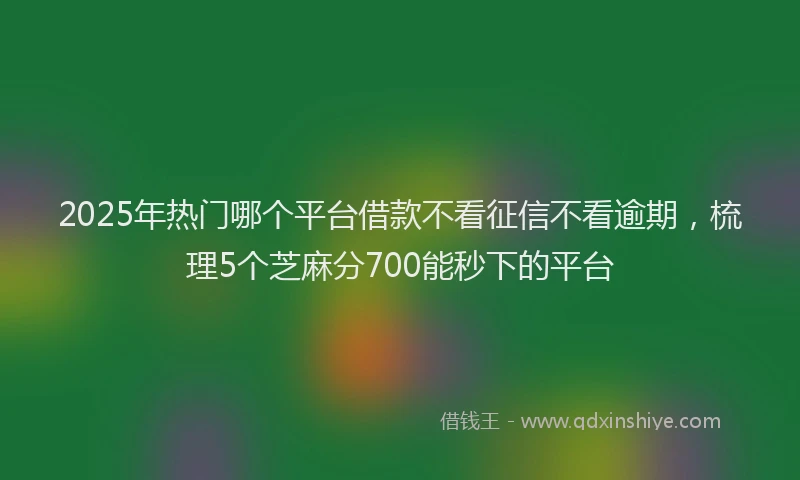 2025年热门哪个平台借款不看征信不看逾期，梳理5个芝麻分700能秒下的平台