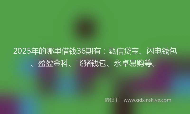 2025年的哪里借钱36期有：甄信贷宝、闪电钱包、盈盈金科、飞猪钱包、永卓易购等。