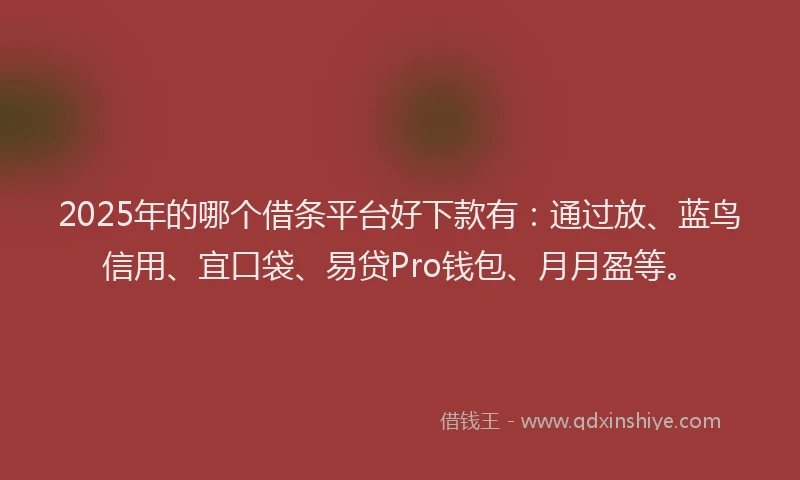 2025年的哪个借条平台好下款有：通过放、蓝鸟信用、宜口袋、易贷Pro钱包、月月盈等。