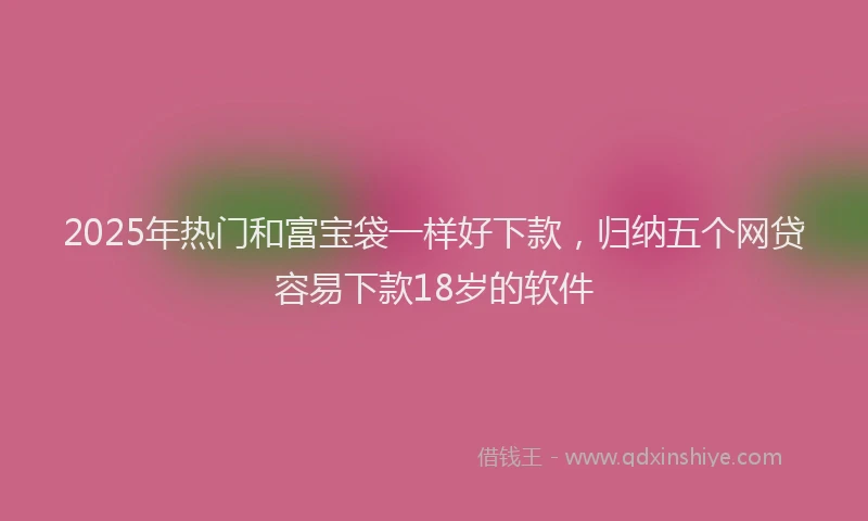 2025年热门和富宝袋一样好下款，归纳五个网贷容易下款18岁的软件