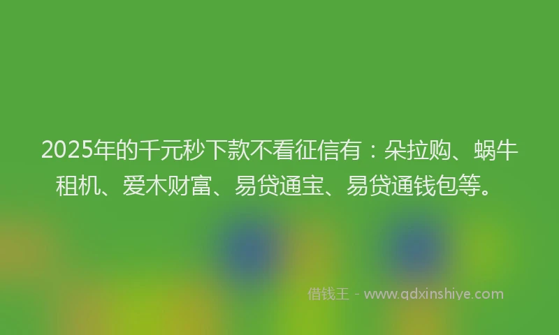 2025年的千元秒下款不看征信有：朵拉购、蜗牛租机、爱木财富、易贷通宝、易贷通钱包等。