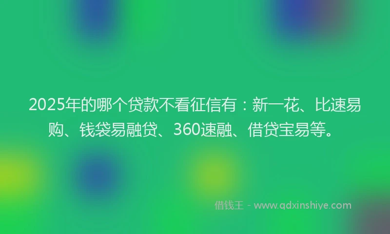 2025年的哪个贷款不看征信有：新一花、比速易购、钱袋易融贷、360速融、借贷宝易等。