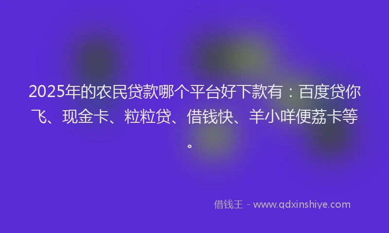 2025年的农民贷款哪个平台好下款有：百度贷你飞、现金卡、粒粒贷、借钱快、羊小咩便荔卡等。