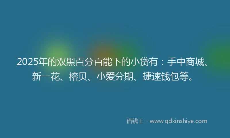 2025年的双黑百分百能下的小贷有：手中商城、新一花、榕贝、小爱分期、捷速钱包等。