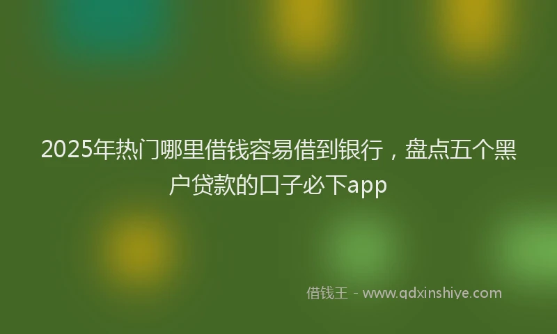 2025年热门哪里借钱容易借到银行，盘点五个黑户贷款的口子必下app
