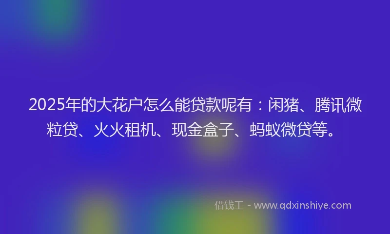 2025年的大花户怎么能贷款呢有：闲猪、腾讯微粒贷、火火租机、现金盒子、蚂蚁微贷等。