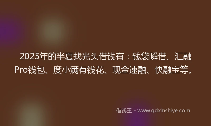 2025年的半夏找光头借钱有：钱袋瞬借、汇融Pro钱包、度小满有钱花、现金速融、快融宝等。
