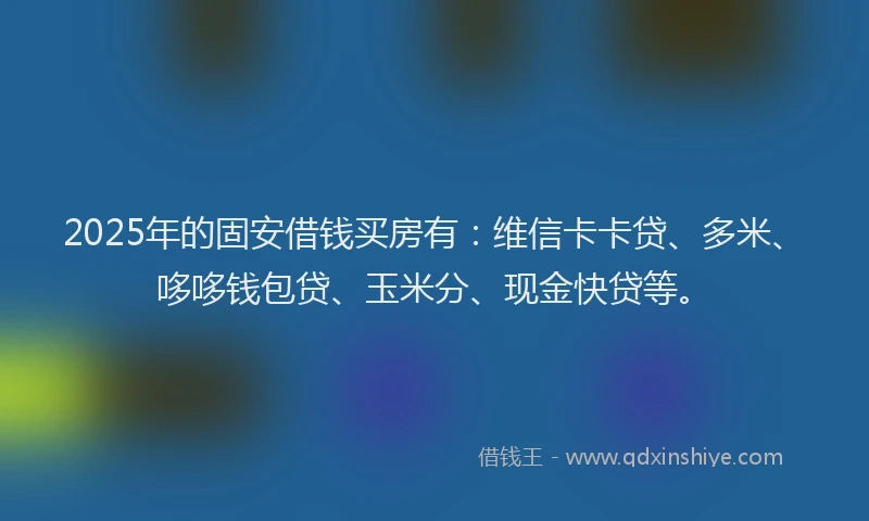2025年的固安借钱买房有：维信卡卡贷、多米、哆哆钱包贷、玉米分、现金快贷等。
