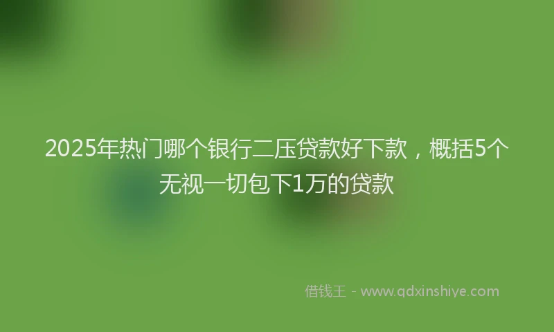2025年热门哪个银行二压贷款好下款，概括5个无视一切包下1万的贷款