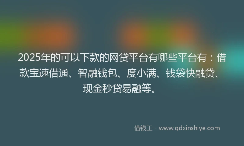 2025年的可以下款的网贷平台有哪些平台有：借款宝速借通、智融钱包、度小满、钱袋快融贷、现金秒贷易融等。