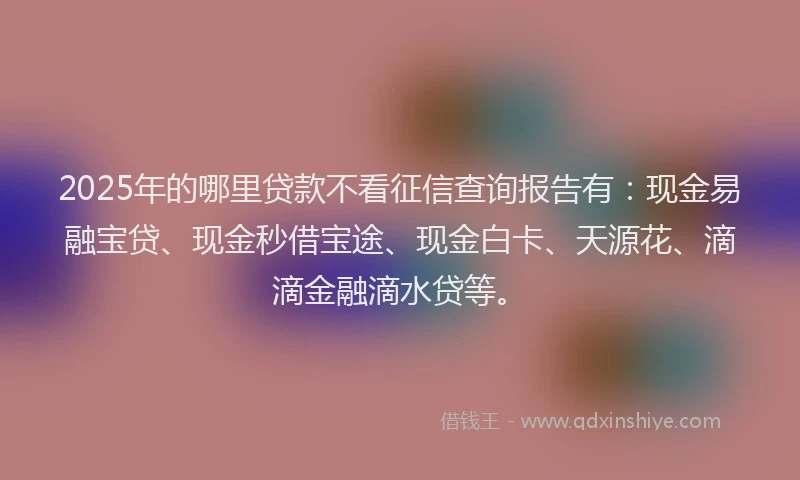 2025年的哪里贷款不看征信查询报告有：现金易融宝贷、现金秒借宝途、现金白卡、天源花、滴滴金融滴水贷等。