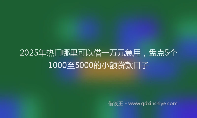 2025年热门哪里可以借一万元急用，盘点5个1000至5000的小额贷款口子