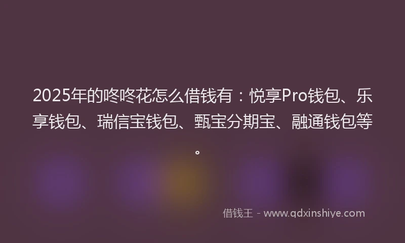 2025年的咚咚花怎么借钱有：悦享Pro钱包、乐享钱包、瑞信宝钱包、甄宝分期宝、融通钱包等。