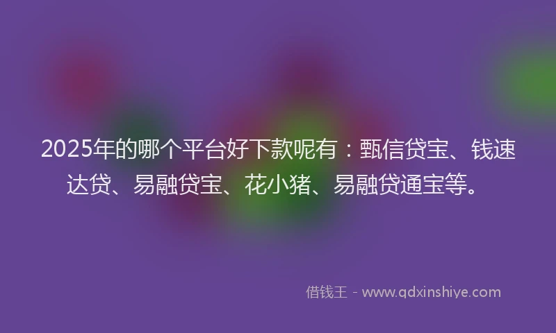 2025年的哪个平台好下款呢有：甄信贷宝、钱速达贷、易融贷宝、花小猪、易融贷通宝等。