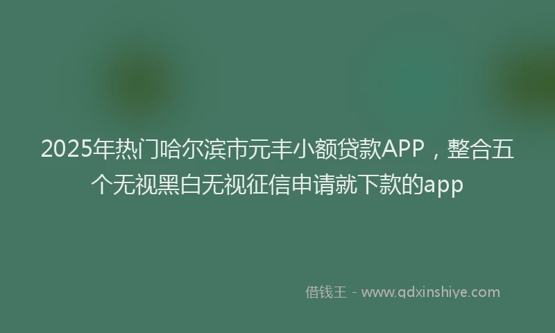 2025年热门哈尔滨市元丰小额贷款APP，整合五个无视黑白无视征信申请就下款的app