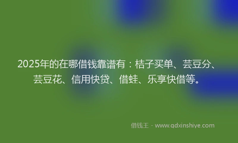 2025年的在哪借钱靠谱有：桔子买单、芸豆分、芸豆花、信用快贷、借蛙、乐享快借等。