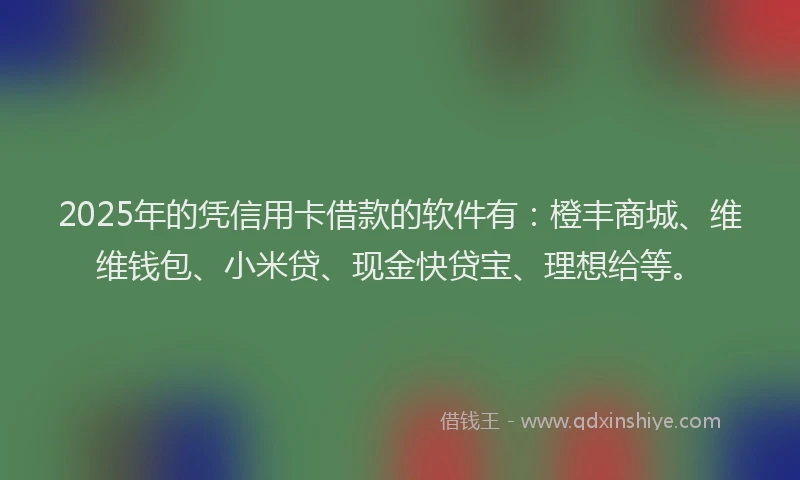 2025年的凭信用卡借款的软件有：橙丰商城、维维钱包、小米贷、现金快贷宝、理想给等。
