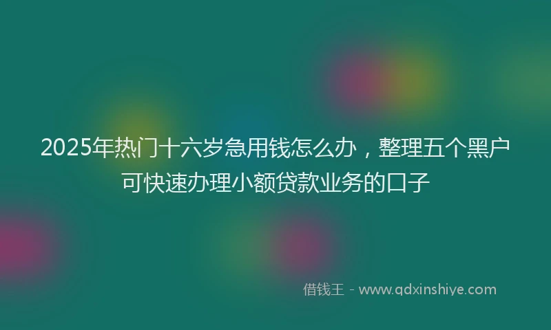 2025年热门十六岁急用钱怎么办，整理五个黑户可快速办理小额贷款业务的口子