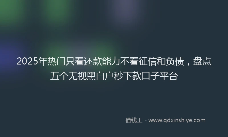 2025年热门只看还款能力不看征信和负债，盘点五个无视黑白户秒下款口子平台