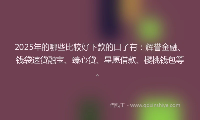 2025年的哪些比较好下款的口子有：辉誉金融、钱袋速贷融宝、臻心贷、星愿借款、樱桃钱包等。