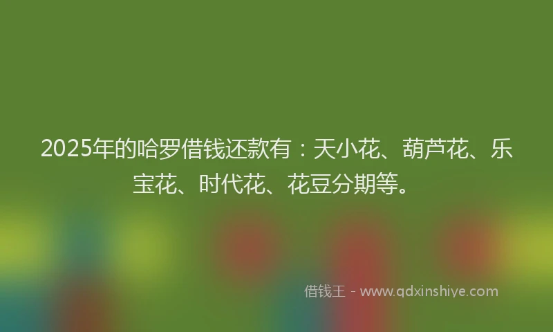 2025年的哈罗借钱还款有：天小花、葫芦花、乐宝花、时代花、花豆分期等。
