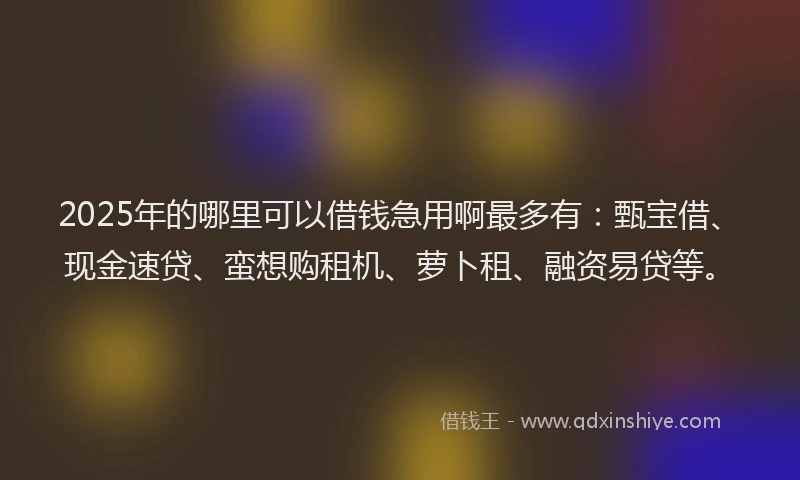 2025年的哪里可以借钱急用啊最多有：甄宝借、现金速贷、蛮想购租机、萝卜租、融资易贷等。