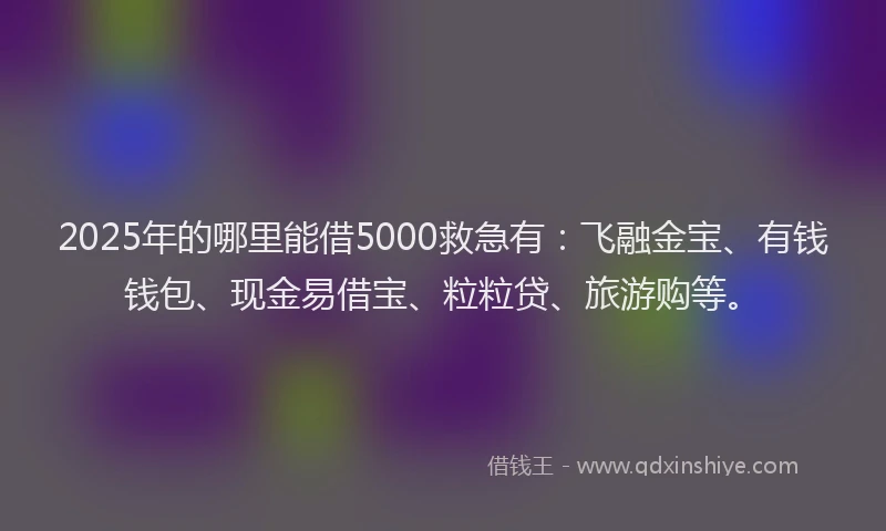 2025年的哪里能借5000救急有：飞融金宝、有钱钱包、现金易借宝、粒粒贷、旅游购等。