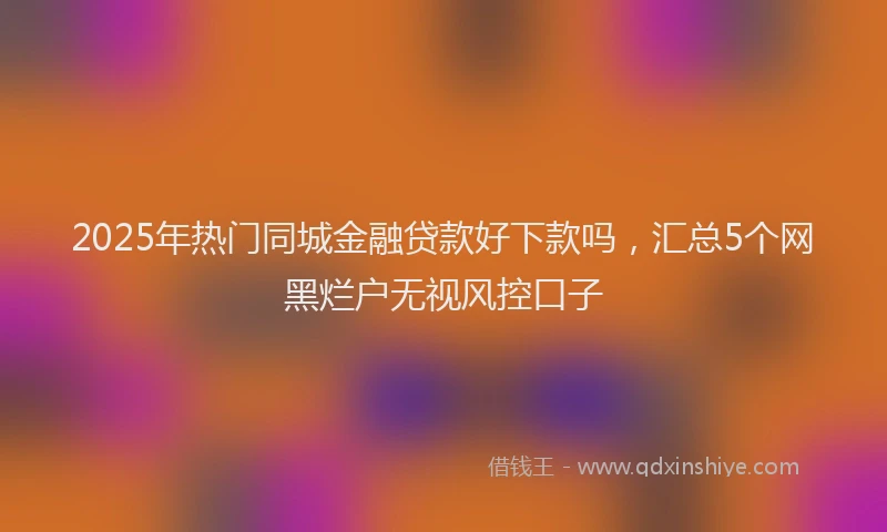 2025年热门同城金融贷款好下款吗，汇总5个网黑烂户无视风控口子