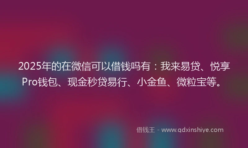 2025年的在微信可以借钱吗有：我来易贷、悦享Pro钱包、现金秒贷易行、小金鱼、微粒宝等。