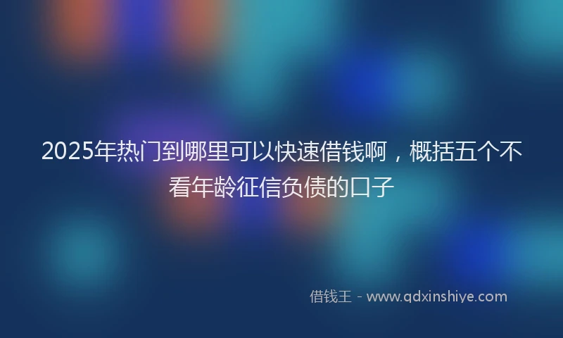 2025年热门到哪里可以快速借钱啊，概括五个不看年龄征信负债的口子