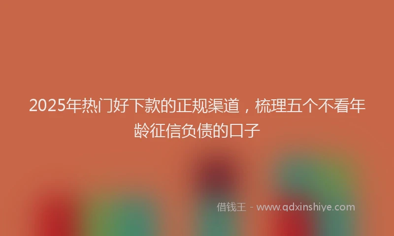 2025年热门好下款的正规渠道，梳理五个不看年龄征信负债的口子