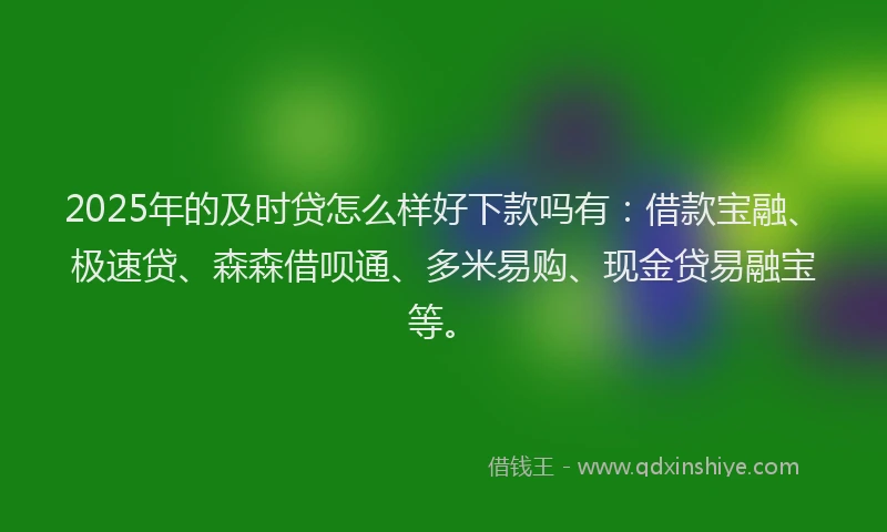 2025年的及时贷怎么样好下款吗有：借款宝融、极速贷、森森借呗通、多米易购、现金贷易融宝等。
