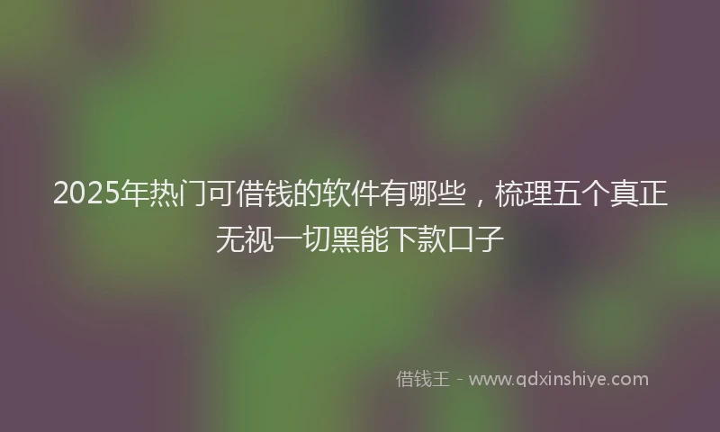 2025年热门可借钱的软件有哪些，梳理五个真正无视一切黑能下款口子