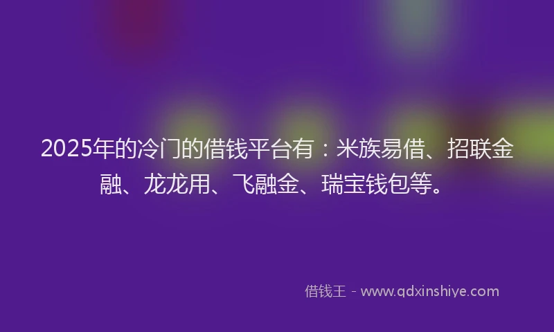2025年的冷门的借钱平台有：米族易借、招联金融、龙龙用、飞融金、瑞宝钱包等。