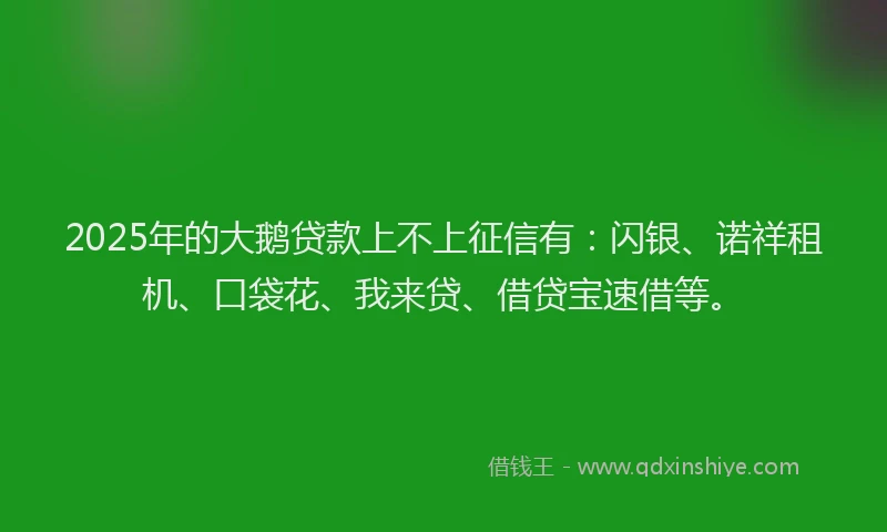 2025年的大鹅贷款上不上征信有：闪银、诺祥租机、口袋花、我来贷、借贷宝速借等。
