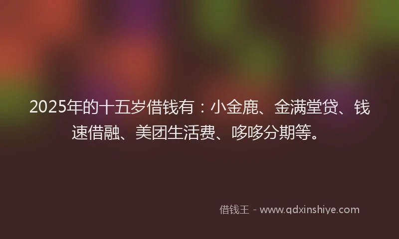 2025年的十五岁借钱有：小金鹿、金满堂贷、钱速借融、美团生活费、哆哆分期等。
