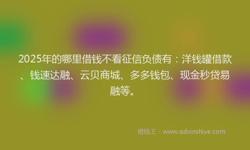 2025年的哪里借钱不看征信负债有：洋钱罐借款、钱速达融、云贝商城、多多钱包、现金秒贷易融等。