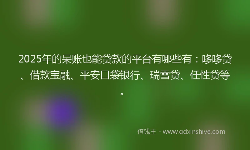 2025年的呆账也能贷款的平台有哪些有：哆哆贷、借款宝融、平安口袋银行、瑞雪贷、任性贷等。