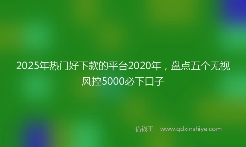 2025年热门好下款的平台2020年，盘点五个无视风控5000必下口子