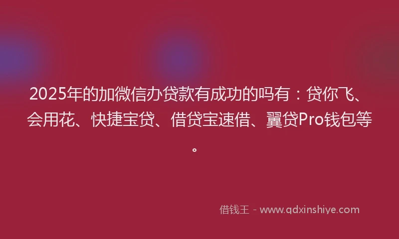 2025年的加微信办贷款有成功的吗有：贷你飞、会用花、快捷宝贷、借贷宝速借、翼贷Pro钱包等。