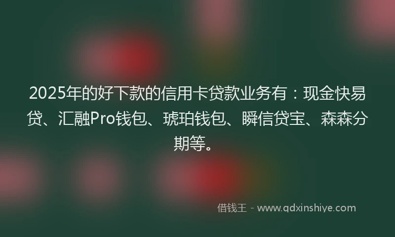 2025年的好下款的信用卡贷款业务有：现金快易贷、汇融Pro钱包、琥珀钱包、瞬信贷宝、森森分期等。