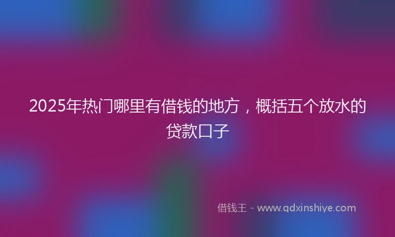 2025年热门哪里有借钱的地方，概括五个放水的贷款口子