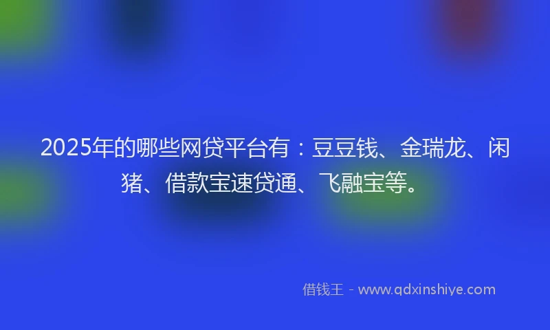 2025年的哪些网贷平台有：豆豆钱、金瑞龙、闲猪、借款宝速贷通、飞融宝等。